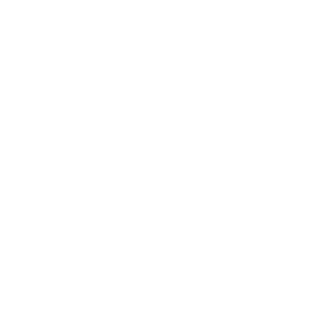 2SKIN